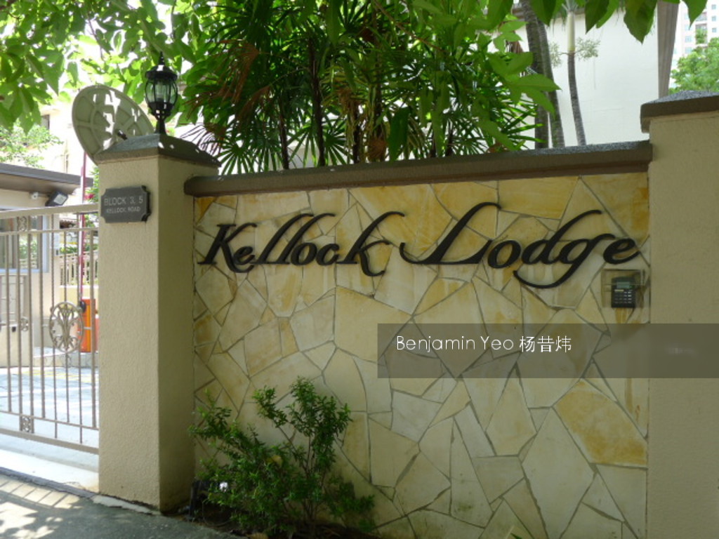 Kellock Lodge (D10), Apartment #143538792